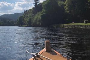 Salmon Fishing Results