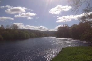 Salmon Fishing Dreaming