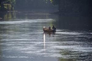 Salmon Beat Predation Management