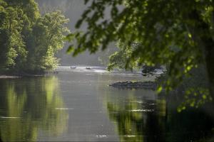 Scottish River Vision