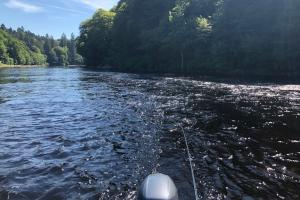 Low Warm Water Summer Salmon Lies