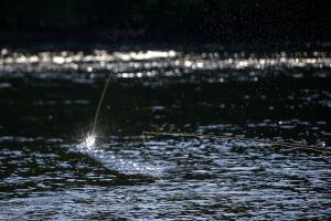 Avoid Common Casting Errors