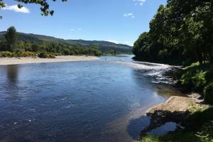 Salmon Fishing Gut Feelings