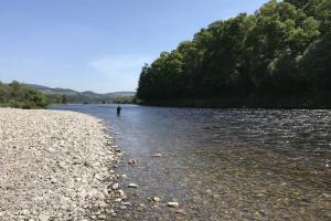 Salmon Fishing Facts