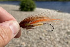 Salmon Fly Thoughts