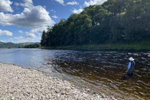 Doing Your Salmon Permit Justice