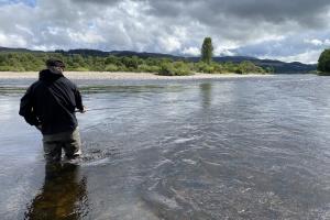 Effective Salmon Fly Swim Time
