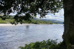 What Makes A Great Salmon Fishing Day