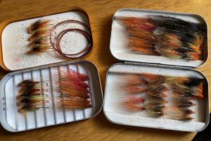 Salmon Fly Waggle & Sparkle Is Important