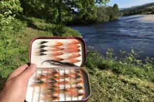Prepare Your Salmon Fly Box