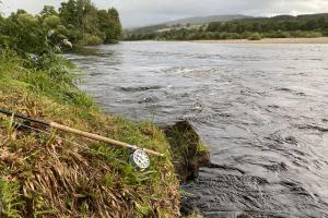 Salmon Fishing Tactics