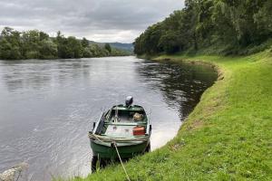 The 5pm Salmon Fishing Blues