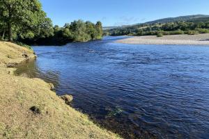 Salmon Beat Operation