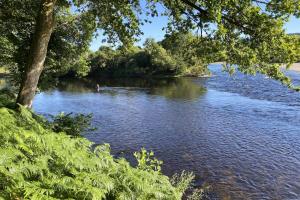 Salmon Fishing Luck