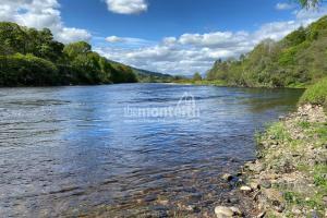 Dalmarnock Beat