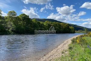 Dalmarnock Beat