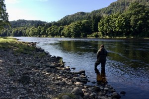 Wading A Salmon River