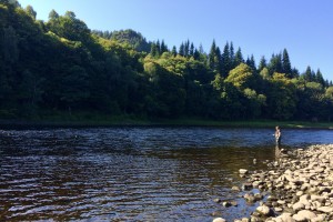 Your Salmon Fishing Approach