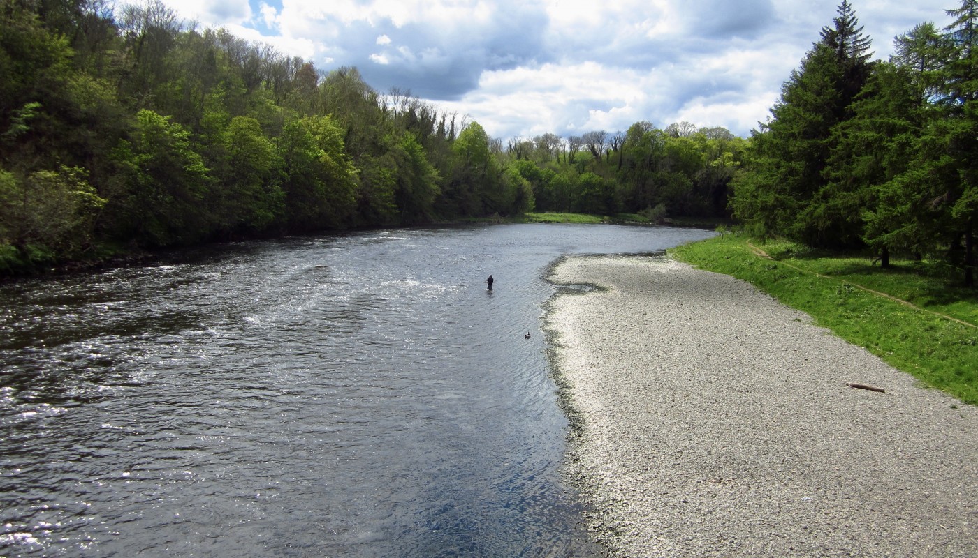 A lovely elevated photo of a salmon fishing trip angler in wading gear in the river Tweed next to a long shingle bank. This lovely shot was taken in mid Summer near Galashiels where we host many River Tweed salmon fishing holiday guests. Our Tweed salmon fishing guides always bring clients to quality salmon water like this which the beautiful River Tweed has an abundance of.