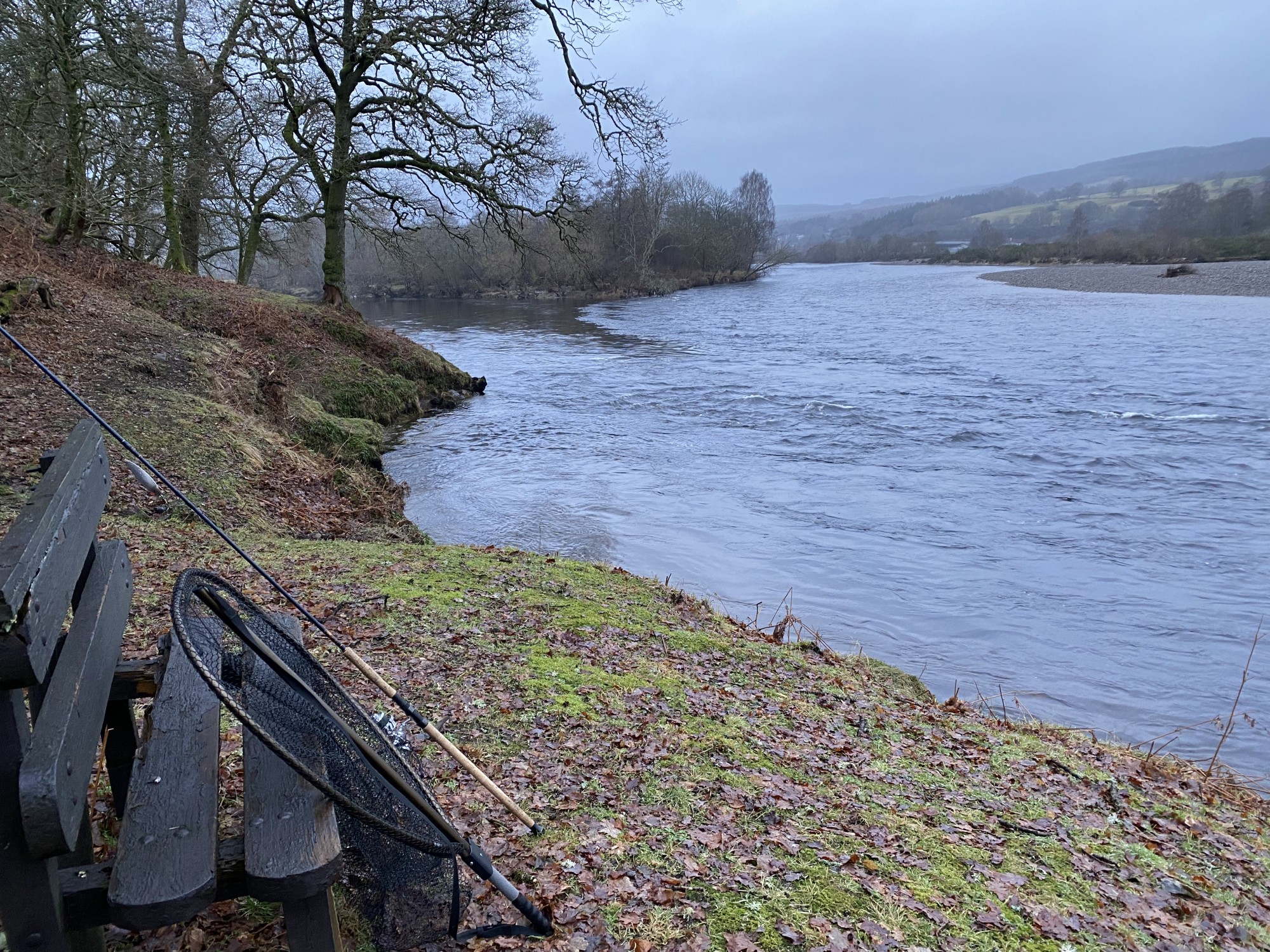 Here's an upstream early Spring view of the River Tummel & River Tay confluence. You can see there's no foliage on the trees nor has the grass started to grow again after being cut during late Summer the year prior. The bench you see to the left of frame I sited in this perfect elevated riverbank position several years ago when I was the ghillie on this beat.