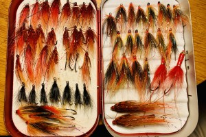 Favourite Salmon Flies