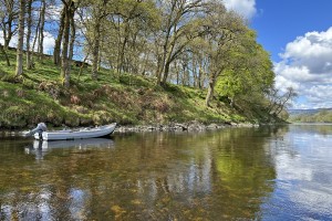 River Tay Harling
