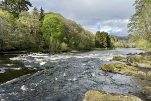 The Salmon River Vibe