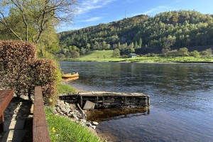 Fishing A Salmon Pool