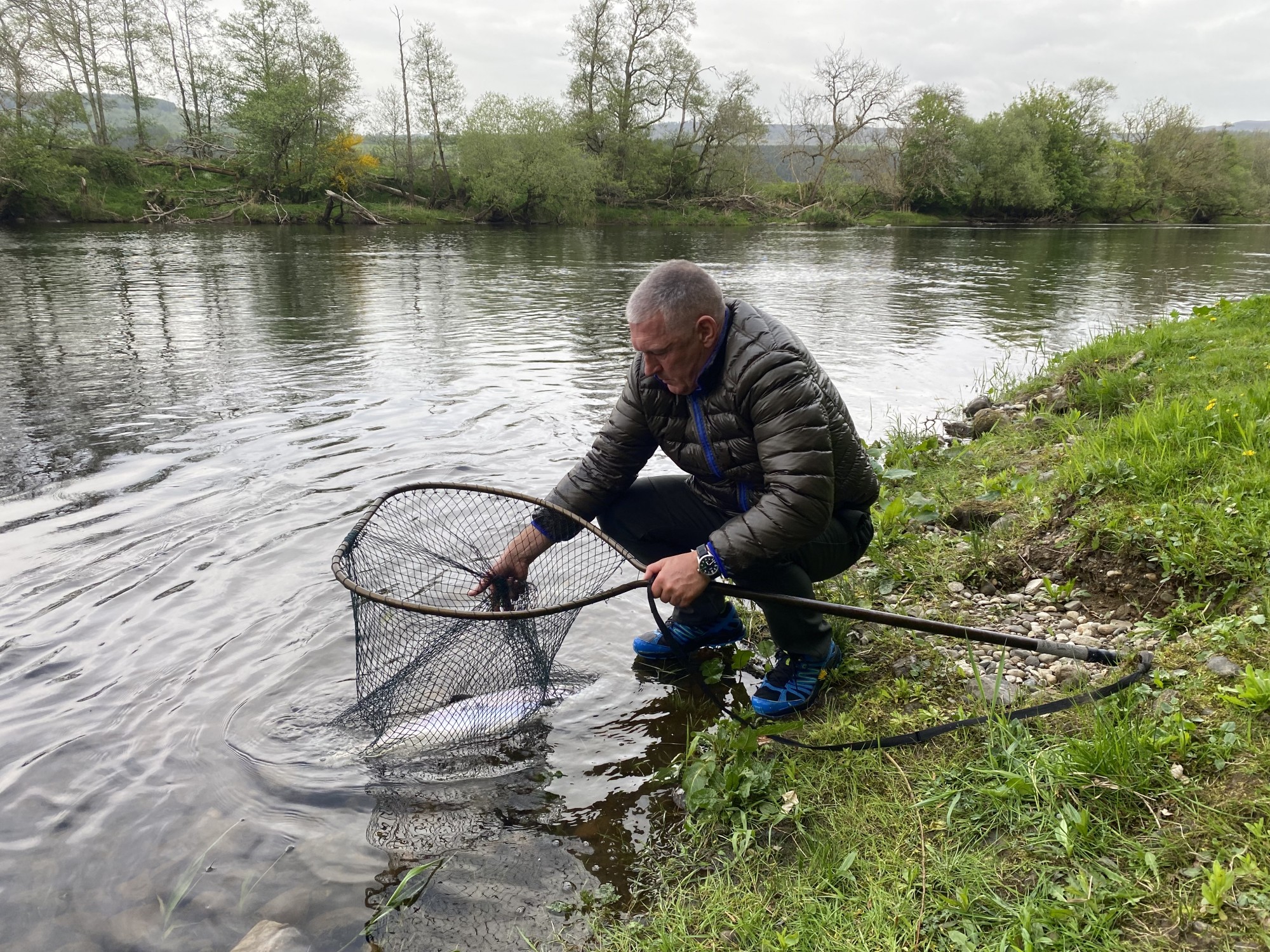 Here's myself with a fine Spring salmon in the landing net immediately prior to its release. A good landing net with fish friendly mesh is an essential piece of salmon fishing equipment. I caught this fine salmon at the Daffodil Lie Pool on the beautiful Kinnaird Beat of the River Tay in Highland Perthshire.