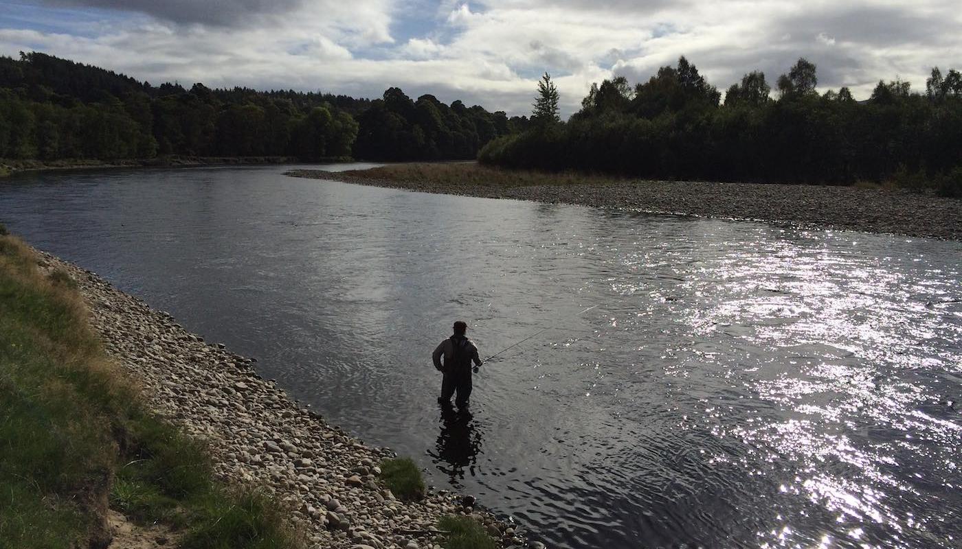 The Tay tributary River Tummel is a renowned Spring salmon fishery. This salmon fishing holiday guest is working his way down though the Green Bank Pool on the Lower Tummel Beat which is located at Moulinearn near Pitlochry under the supervision of his professional salmon fishing instructor.